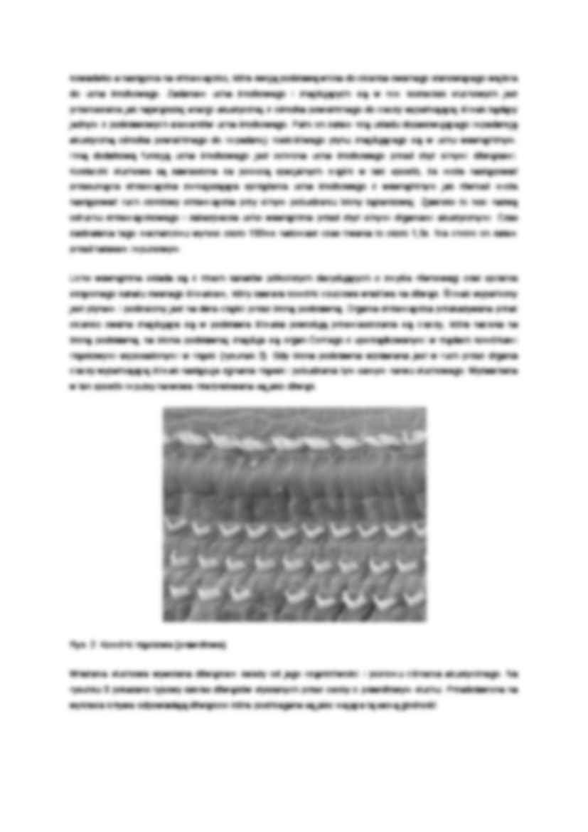 Wpływ hałasu na organizm człowieka - omówienie  - strona 2