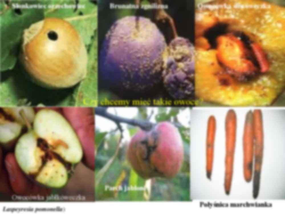 Technologia Związków Biologicznie czynnych- opracowanie - strona 3