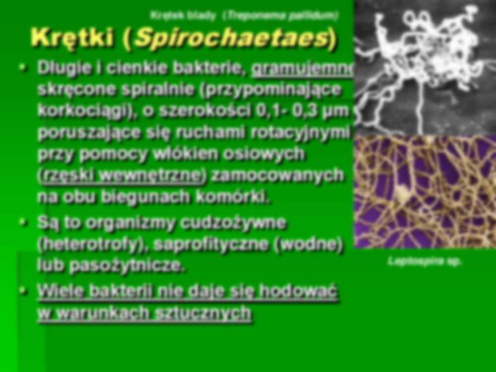 Mikrobiologia - wykład 3 - Bakterie  - strona 3