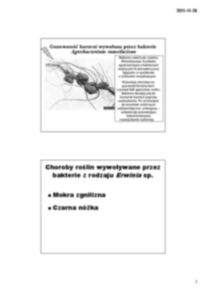 Mikrobiologia- wykład 15 i 16 - strona 3