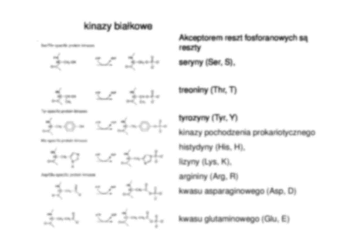 Enzymologia- prezentacja - strona 2