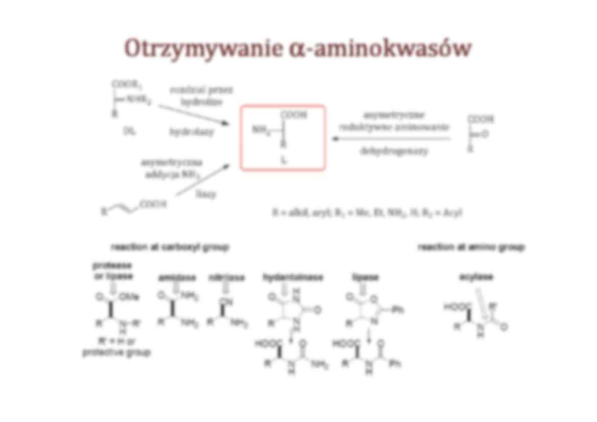 Reakcje hydroliyczne- wykład 12 - strona 3