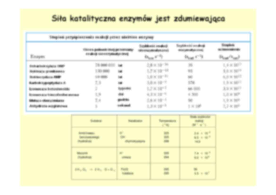 Enzymy- prezentacja - strona 2