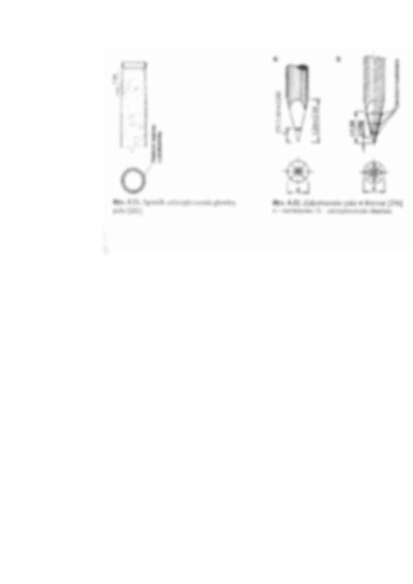 Pale drewniane - wykład - strona 3