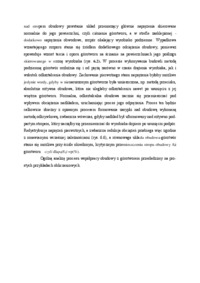 Współpraca konstrukcji z górotworem