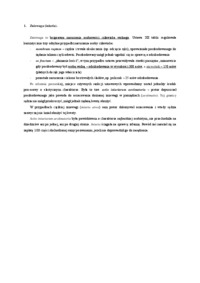 zniewaga-opracowanie