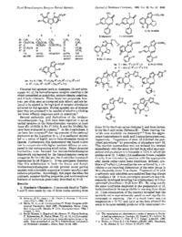 nowoczesne-metody-wytwarzania-lekow-wyklad-pentobarbital