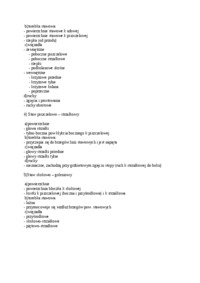 Połączenia kończyny dolnej