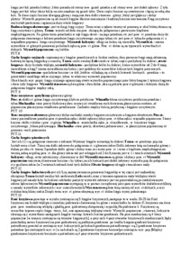 Anatomia - pytania egzaminacyjne