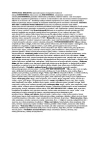 typologia-sheldona