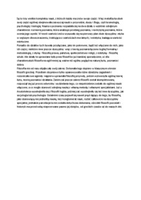 Zakres filozofii i jej działy-opracowanie