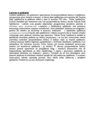 Lustrator w spółdzielni-opracowanie