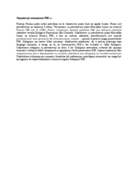  Organizacja wewnętrzna NIK-opracowanie