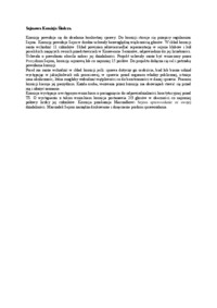  Sejmowa Komisja Śledcza-opracowanie