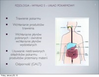 Układ pokarmowy - wykład