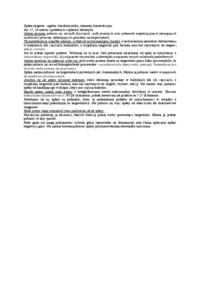 opłata targowa - omówienie