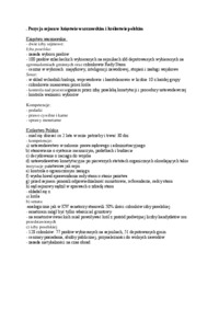 pozycja sejmu w Księstwie Warszawskim - omówienie