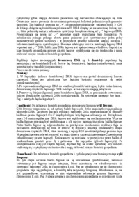 Mechanizm replikacji plazmidów i fagów - omówienie