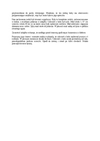 epoka-miedzi-czlowiek-z-lodu-1993