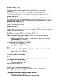 mikrobiologiczny-rozklad-drewna-omowienie