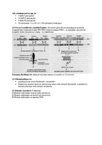 genetyka-grzybow-analiza-tetrad-omowienie