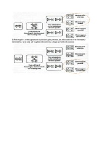 Genetyka grzybów, Mitoza a mejoza - omówienie