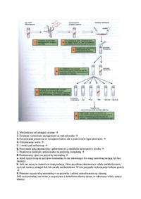 genetyka-grzybow-mutagenizacja-gatunku-omowienie