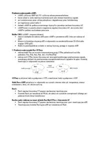 genetyka-grzybow-przekazywanie-sygnalu-camp-omowienie