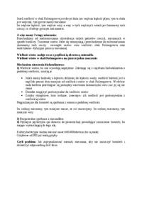 burzliwosc-mieszania-makro-i-mikromieszanie-omowienie