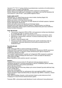  Hybrydyzacja - omówienie