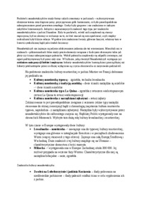 Neandertalczyk - omówienie