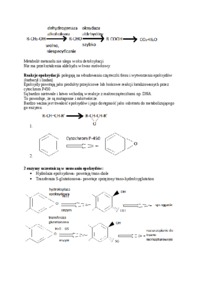 biotransformacja-ksenobiotykow-omowienie