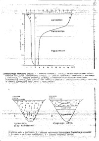 Woda-opracowanie