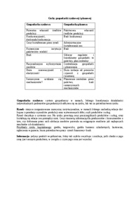 Wykład - Cechy gospodarki rynkowej i planowej