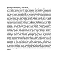 wyklad-mozliwosci-identyfikacji-samochodu