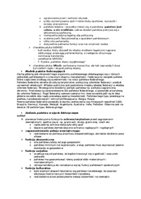 Wykład - Państwo charyzmatyczne