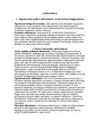 Wykład - Cudzoziemcy