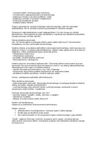 Wykład - system władzy lokalnej