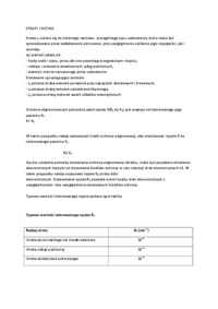 straty-i-ryzyko-opracowanie