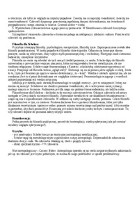 Antropologiczna filozofia Maxa Schelera - omówienie