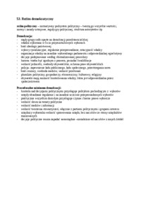 rezim-demokratyczny-opracowanie-1