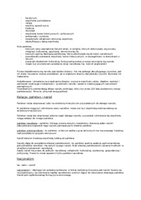 Państwo, naród i jednostka- opracowanie