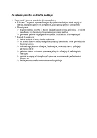 Powstanie państwa w drodze podboju- opracowanie