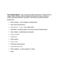 Renesans Niderlandy - omówienie