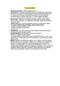 cechy-stale-podatku-opracowanie