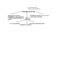 schemat-procesu-karnego
