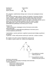koncepcja-kompetencji-biograficznej-cwiczenie