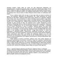 estetyka-hansa-omowienie