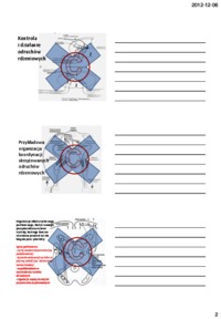 biologiczne-podstawy-zachowania-neurofizjologiczny-wyklad-6