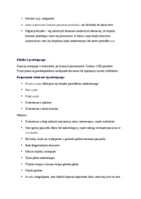 Krwawienia w 2 i 3 trymestrze ciąży - omówienie